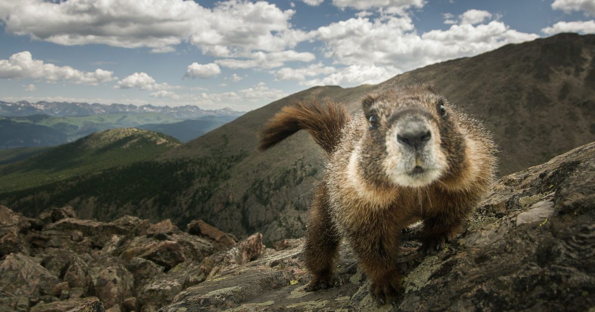 Garsiausias pasaulio sinoptikas jau paskelbė, kiek dar truks žiema