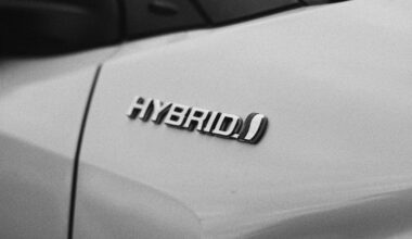 Staigmena Europos keliuose: elektromobiliai išstumti naujo rinkos lyderio