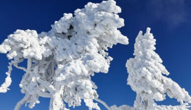 Vasario 4 d. vardadieniai ir kitos įdomybės - Respublika.lt