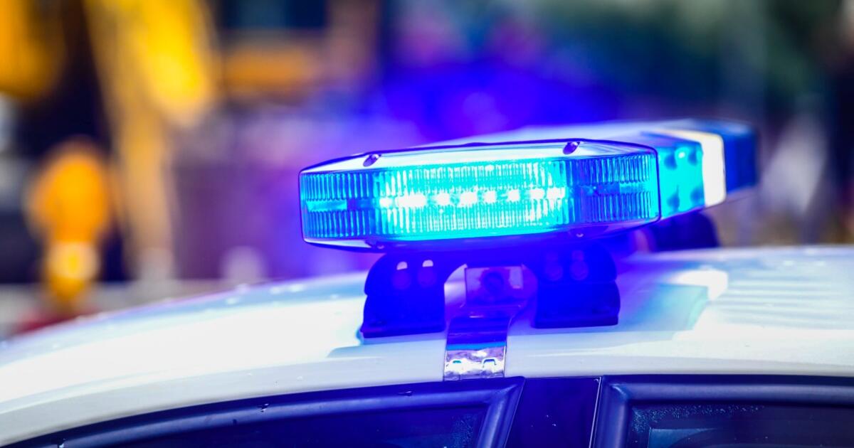 pagrobta žinomos laidų vedėjos motina