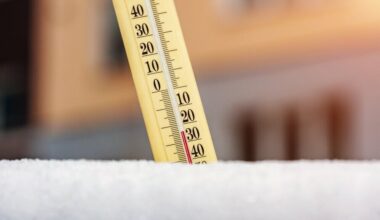 Lauko termometras meluoja? Patarė, kaip teisingai matuoti oro temperatūrą | Gyvenimas