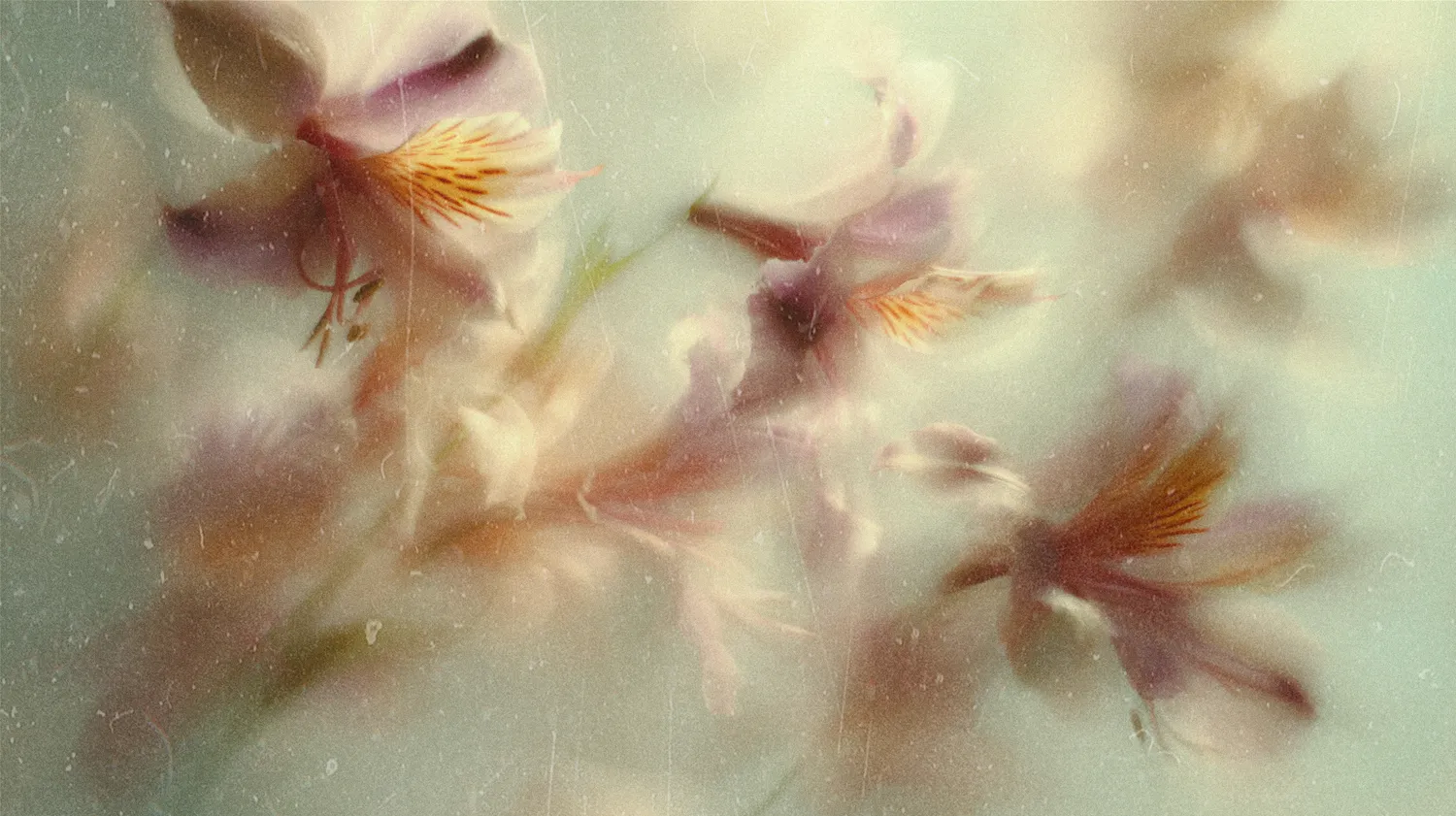 Sinoptikai peržiūrėjo ilgalaikę vasaros prognozę