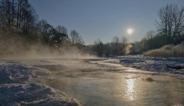 Meteorologai paskelbė, kur buvo šalčiausia naktis