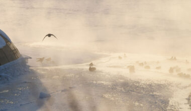 BNS Sprintas: mirtinas speigas, pasitraukęs Jagminas, lietuviai Epsteino dokumentuose - 15min.lt