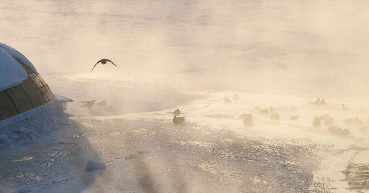 BNS Sprintas: mirtinas speigas, pasitraukęs Jagminas, lietuviai Epsteino dokumentuose - 15min.lt