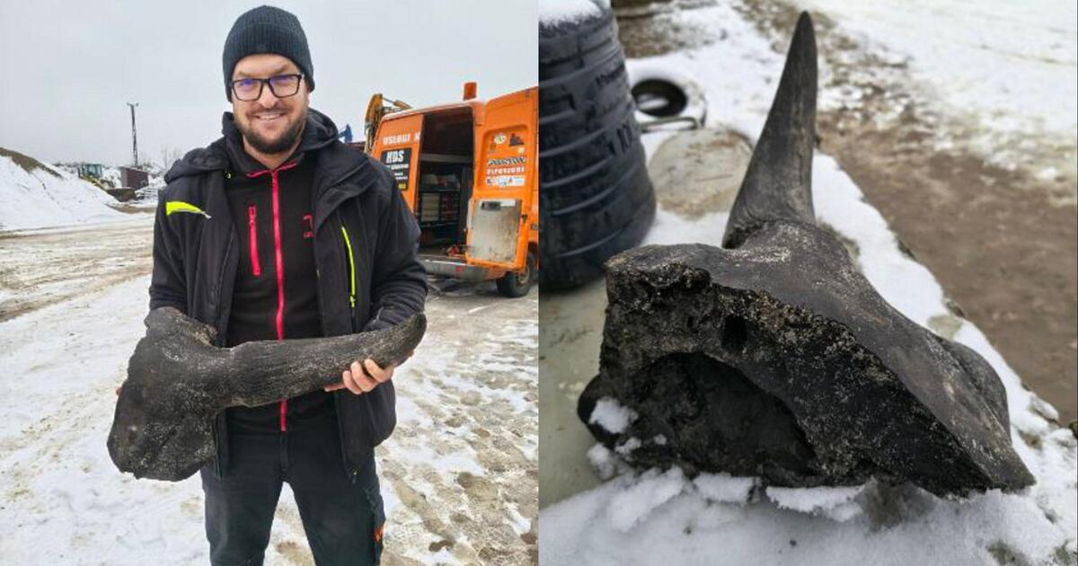 Lenkijoje rastas ledynmečio milžino fragmentas