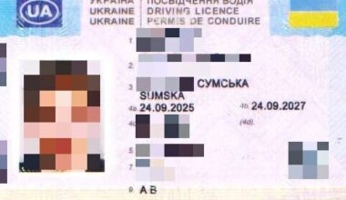 Lietuvos pareigūnai iškrapštė vaikiną iš prabangaus BMW: jo „vairuotojo teisės“ – netikusios