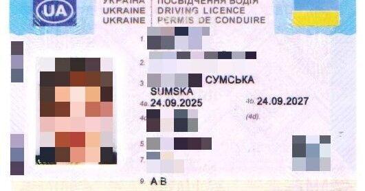 Lietuvos pareigūnai iškrapštė vaikiną iš prabangaus BMW: jo „vairuotojo teisės“ – netikusios