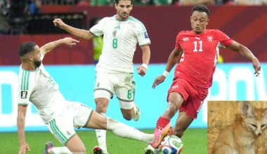 „Zoologijos sodas“ futbolo šventėje - Respublika.lt