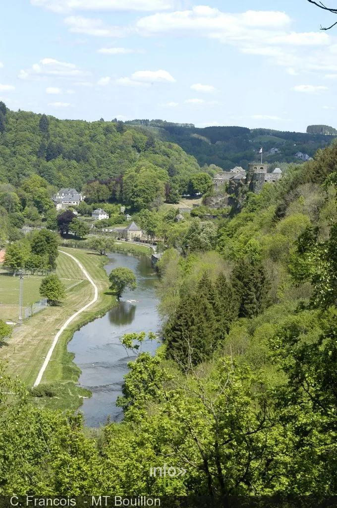 Séquoias et arbres exotiques de l’arboretum de la Gernelle à Bouillon, vallée de la Semois