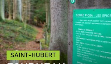 Fourneau Saint-Michel (Saint-Hubert) : le musée de plein air de la vie rurale en Wallonie - carte sociale info-lux