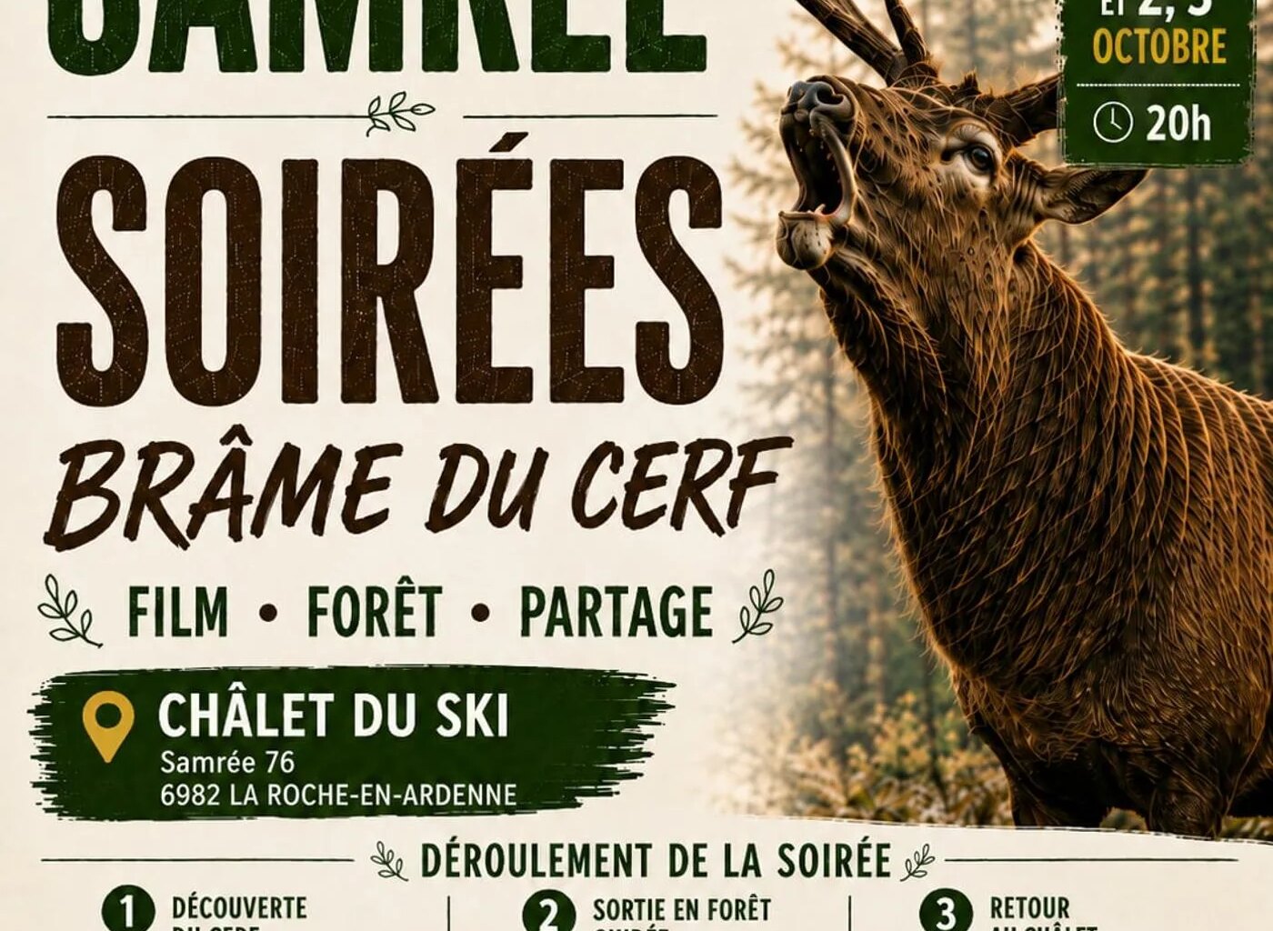 La Roche-en-Ardenne > Balade > Brame du cerf à Samrée 2026