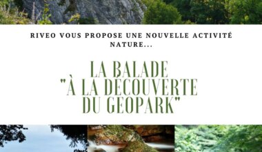 Hotton > Balade > Balade “Roches & Paysages” 2026