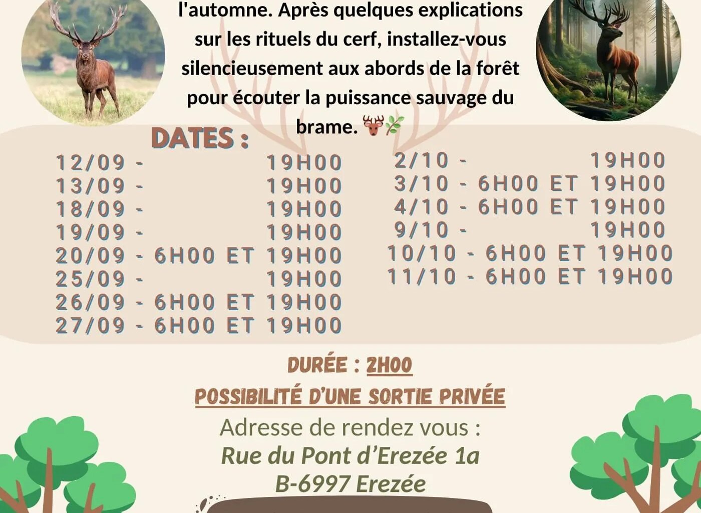 Erezée > Balade > A l’écoute du brame du cerf 2026