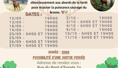 Erezée > Balade > A l’écoute du brame du cerf 2026