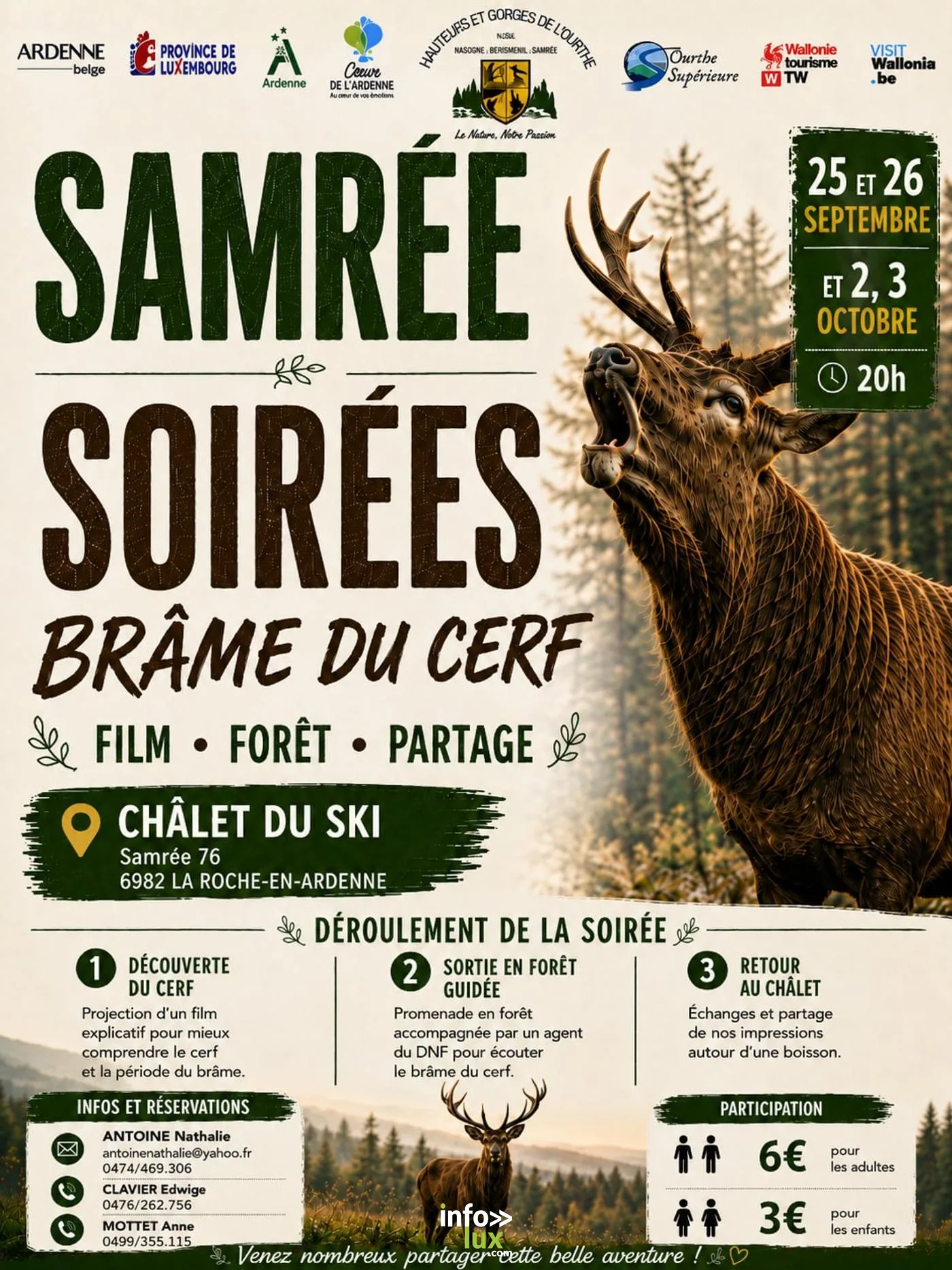 La Roche-en-Ardenne > Balade > Brame du cerf à Samrée 2026