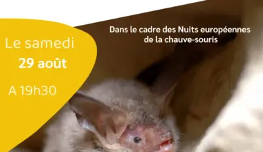 Affiche de la soiree Les ailes de la nuit, le 29 aout 2026 a Mortehan