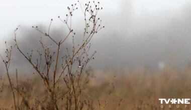 Latvijā dzestrākais rīts kopš pavasara. Dienā gaidāmi īslaicīgi nokrišņi