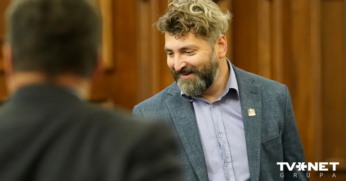 ZZS balsojums par Stambulas konvencijas denonsēšanu ir atbilde uz liegumu izcirst mežus