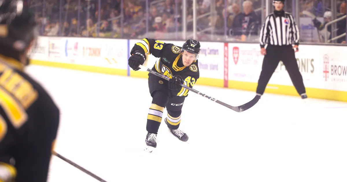 Ločmelim liels spēles laiks un +2 NHL pārbaudes spēlē