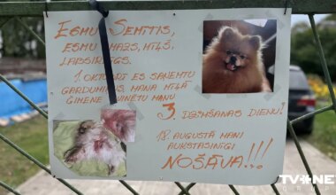 FOTO ⟩ Reaģējot uz suņa slepkavību mājas pagalmā, Jēkabpils iedzīvotāji sarīko Kluso plakātu akciju