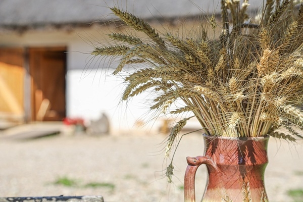 Tukuma novads: Pastariņa muzejs aicina uz Rudens saulgriežiem