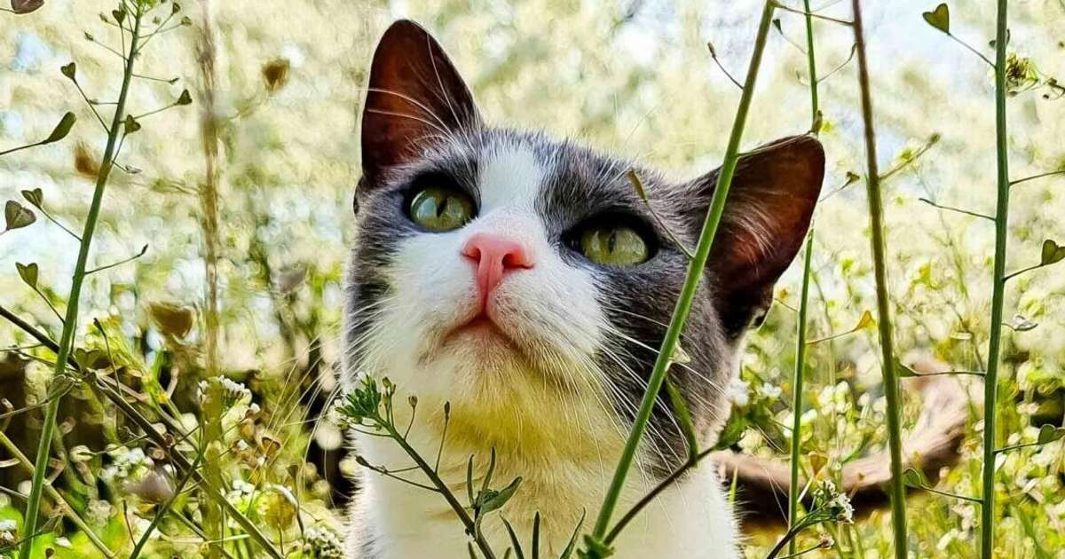 Skorpioni sastapsies ar opozīciju, Vērši var krist galējībās – 23. septembra horoskops
