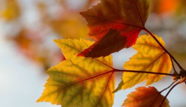 Foto: Unsplash