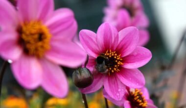 Svētdiena Latvijā gaidāma vasarīgi silta un pārsvarā bez lietus - tv3.lv