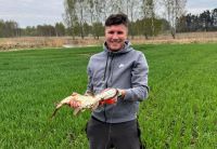 Es esmu vēl vecā kaluma mūziķis