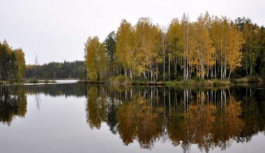 Septembra izskaņa Latvijā nāks ar rudenīgāku laiku