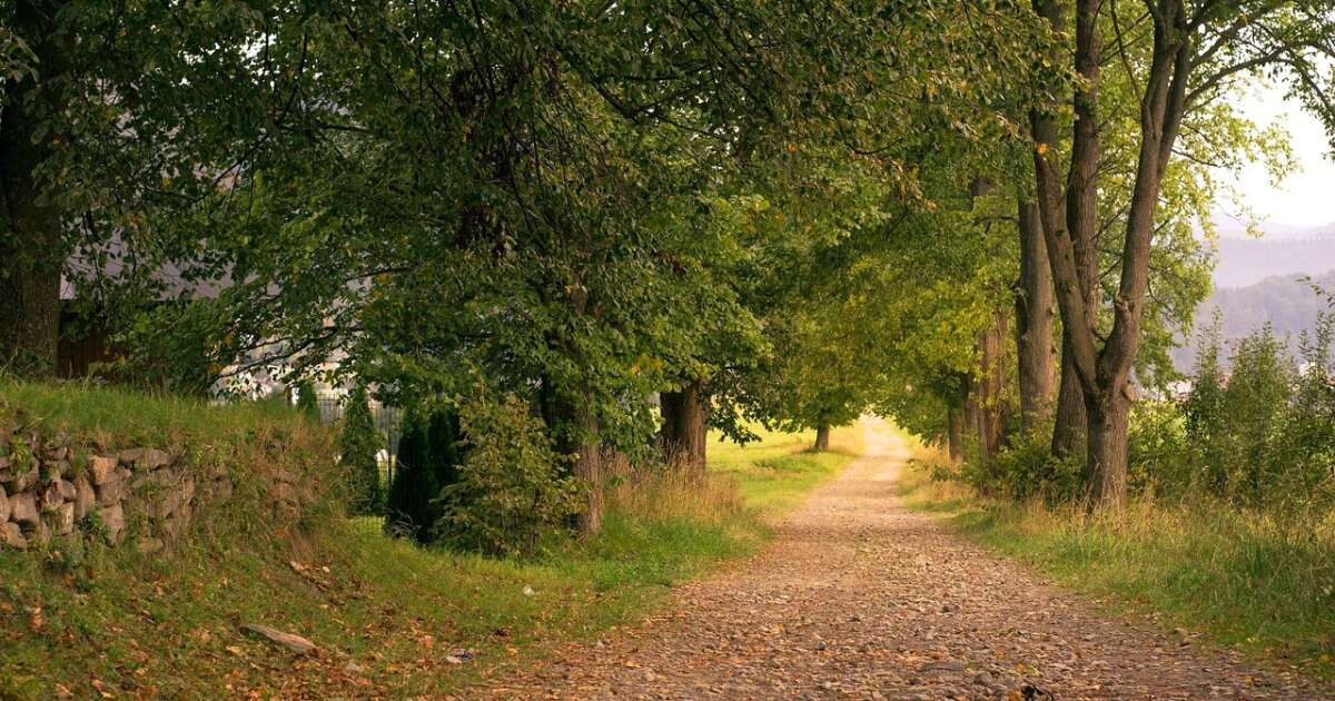 Cik siltas būs naktis un cik vēsas dienas? Laikapstākļu prognoze nedēļai / Jēkabpils Laiks: Jēkabpils ziņas