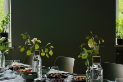 Vokālā grupa “NEAIZMIRSTULĪTES” Valmierā