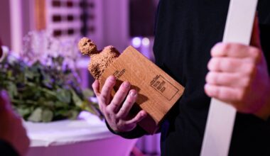 Izcilības balvai kultūrā šogad izvirzīti 17 pretendenti