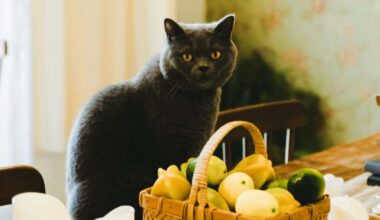 Jaunavas var izcelt laimīgo lozi, Skorpioniem jāuzmanās no sadzīves traumām – 10. oktobra horoskops