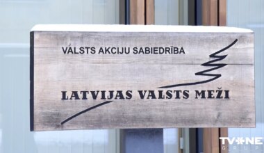 Ilgtermiņa mežizstrādes līgumi ierobežo konkurenci - Apollo.lv