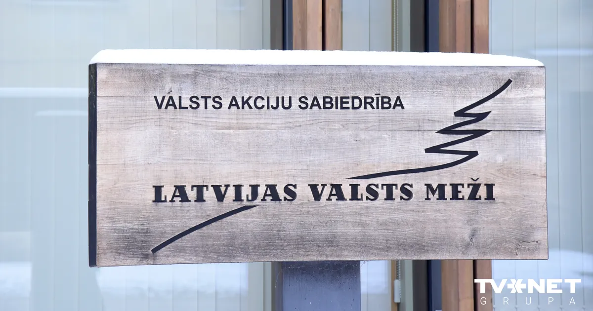 Ilgtermiņa mežizstrādes līgumi ierobežo konkurenci - Apollo.lv