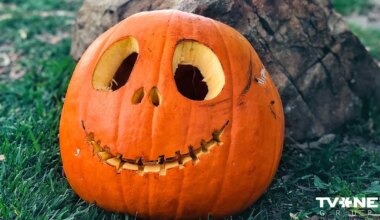 Horoskops ceturtdienai, 23. oktobrim - TVNET