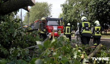 Svētdien līdz pusdienlaikam Latvijā saņemti 55 izsaukumi par vēja radītiem postījumiem