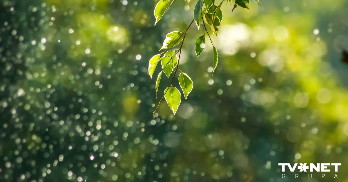 Horoskops ceturtdienai - 2. oktobrim - TVNET