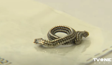 “AliExpress,” “Temu” un “Shein” bižutērija satur ekstrēmi augstu kadmija līmeni