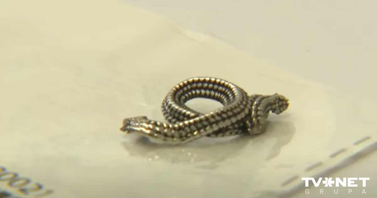 “AliExpress,” “Temu” un “Shein” bižutērija satur ekstrēmi augstu kadmija līmeni