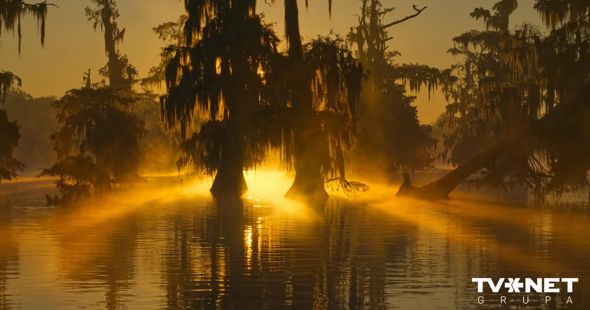 "Sakritība? Diez vai!" Hjūstonas ūdenstilpēs šogad atrasti 16 līķi. Bažas par sērijveida slepkavu