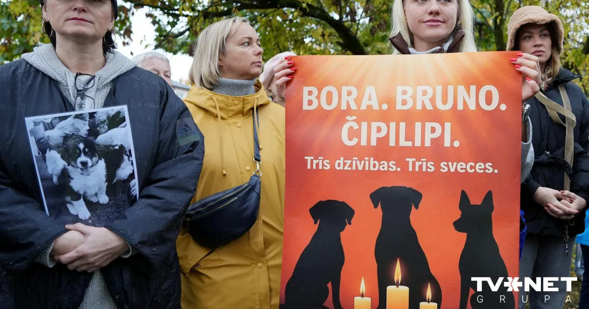 "Tu man skaties acīs un pēc tam nošauj manus suņus." Par ko runāja Bauskas protesta akcijas dalībnieki