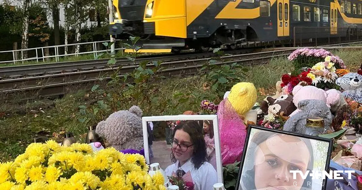 Modra suņu nošaušana un Imantas traģēdija izgaismo sabiedrības dubultstandartus - TVNET