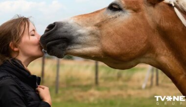 Tumši noslēpumi, dramatisms, luksuss un romantika – triloģijas "Rubīna loks" pirmajā grāmatā