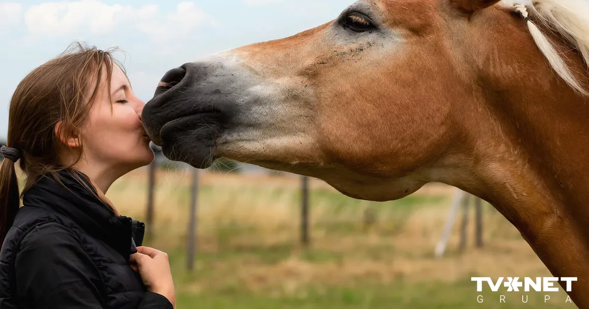 Tumši noslēpumi, dramatisms, luksuss un romantika – triloģijas "Rubīna loks" pirmajā grāmatā