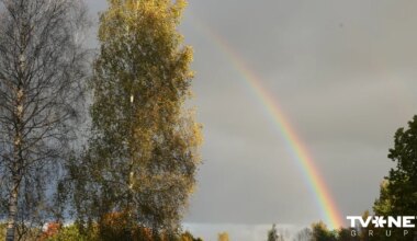 Gaiss iesils līdz +13 grādiem: ar kādiem laikapstākļiem sāksies novembris? - TVNET - Laika ziņas