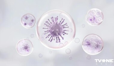 Reģistrēti vēl četri leptospirozes gadījumi; notiek epidemioloģiskā izmeklēšana - Apollo.lv