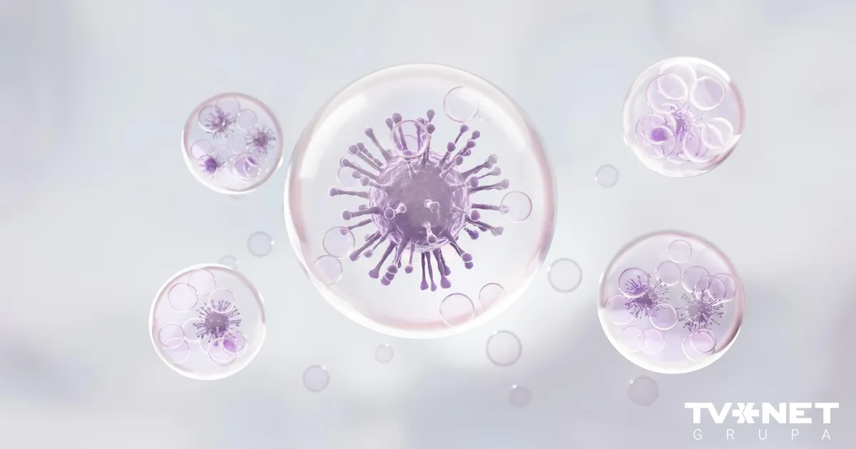 Reģistrēti vēl četri leptospirozes gadījumi; notiek epidemioloģiskā izmeklēšana - Apollo.lv